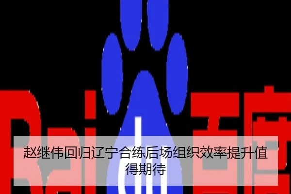 赵继伟回归辽宁合练后场组织效率提升值得期待