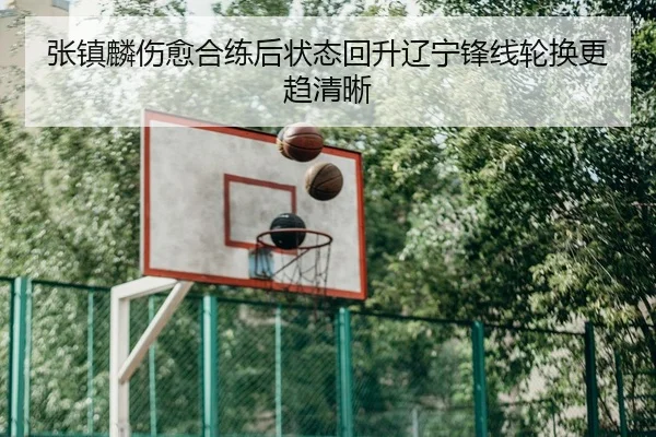 张镇麟伤愈合练后状态回升辽宁锋线轮换更趋清晰