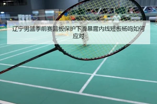 辽宁男篮季前赛篮板保护下滑暴露内线短板杨鸣如何应对