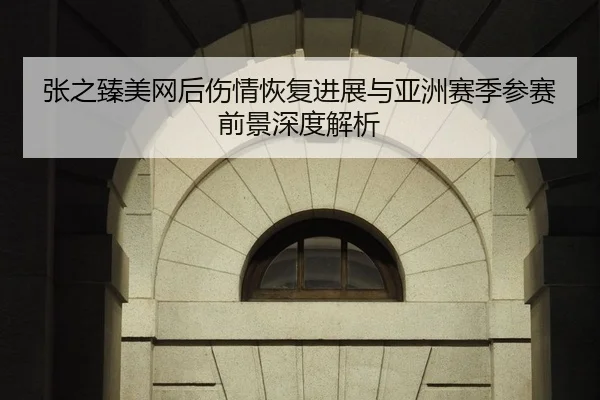 张之臻美网后伤情恢复进展与亚洲赛季参赛前景深度解析